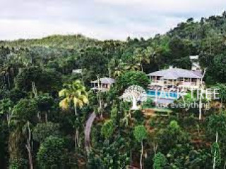 Aarunya Nature Resort & Spa